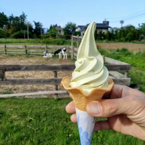 ワサビソフト
