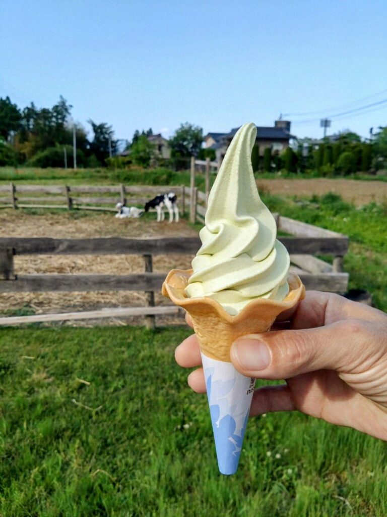 Dolci Giapponesi : Scopri il Sorprendente Soft Cream al Wasabi di Fukushima!