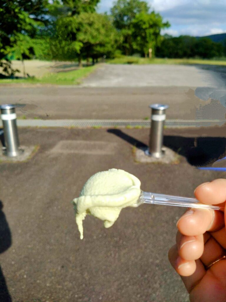 ワサビソフト