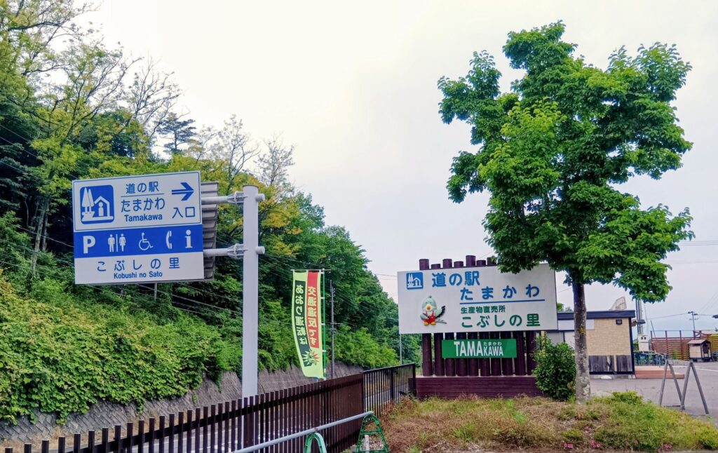 さるなし