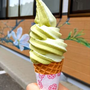 さるなし