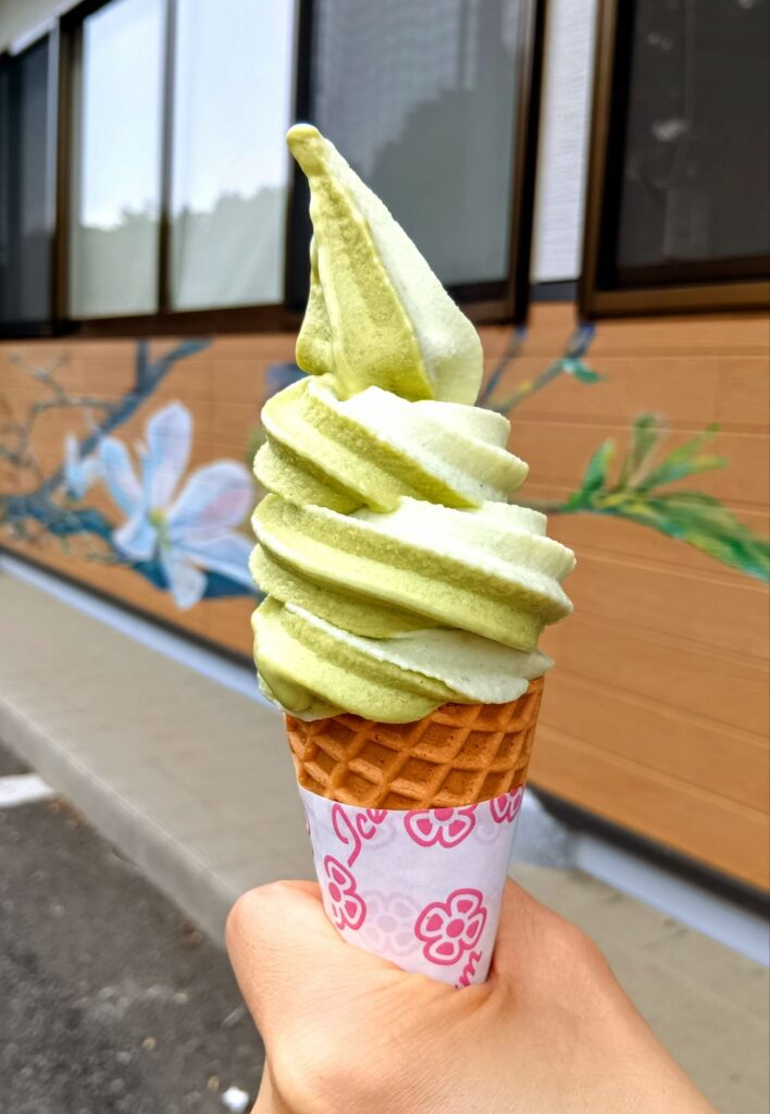 Dolci Giapponesi : Esperienza di Soft Cream Ricca di Umami